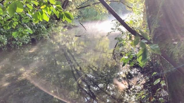 Минимализм как стиль жизни. Это навсегда? смотреть онлайн