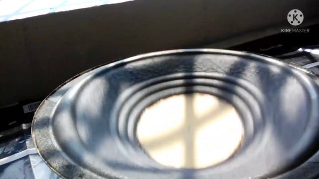 Fake Jbl Partybox 1000 Sub Flexing And Blowing!!!