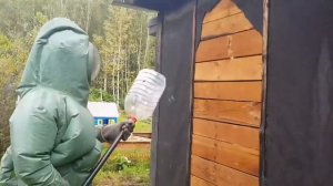 Шершни, уничтожение гнезда. Полярная