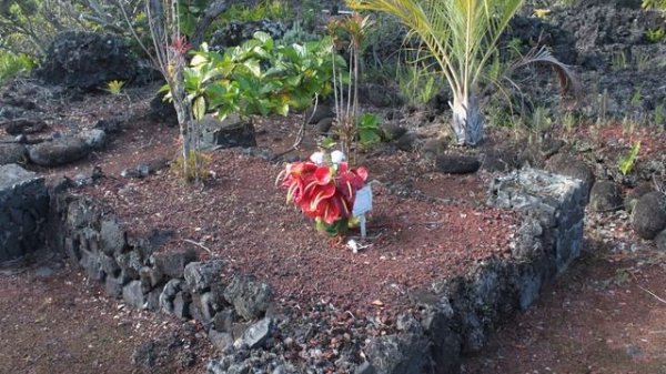 Burial Plot Fences - The Chain Link Fences of Rotten Bayou Cemetery