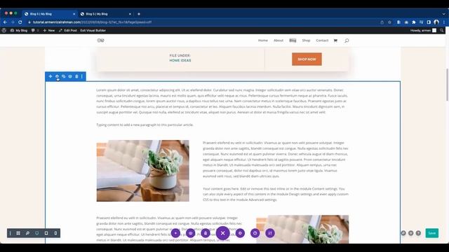 Edit/Delete an Existing Blog Post on Divi/Wordpress Website смотреть онлайн