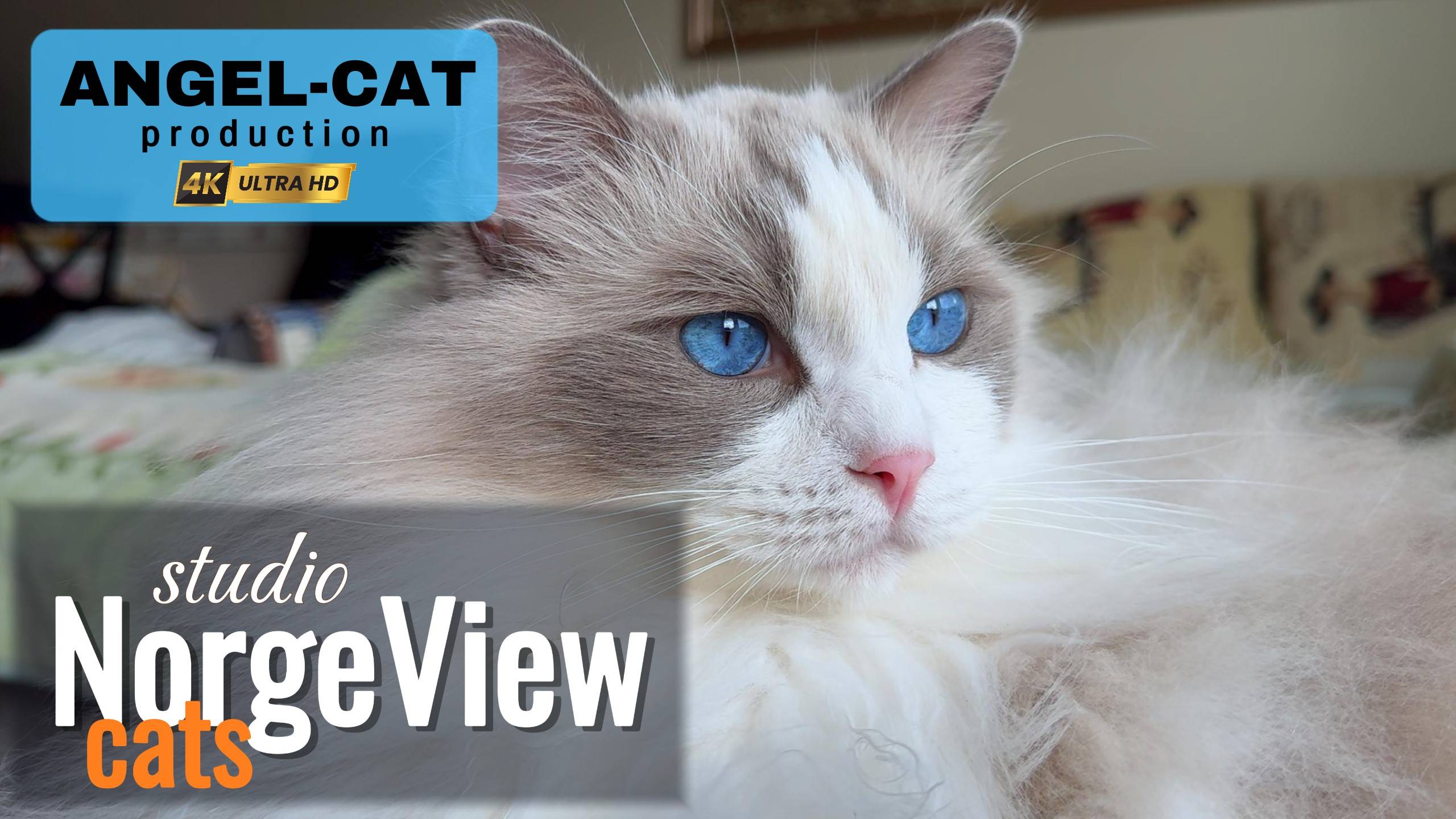 How We Celebrated Angel's Birthday