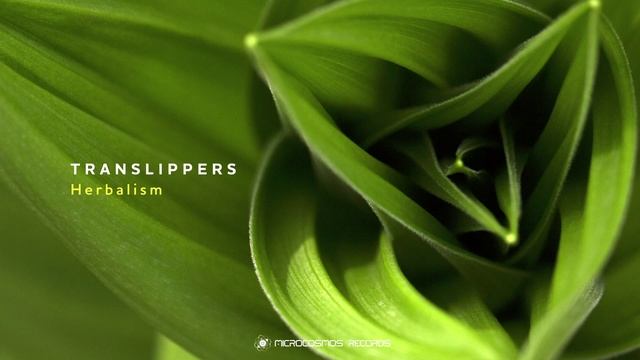 Translippers - Polar Lights смотреть онлайн