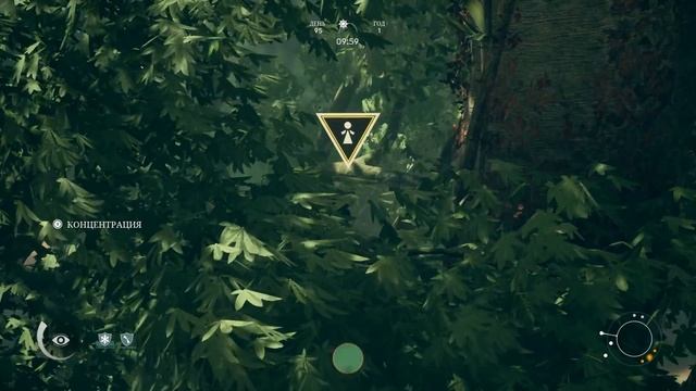 РОЖДЕНИЕ МАЛЕНЬКОГО ПРИМАТА Ancestors The Humankind Odyssey