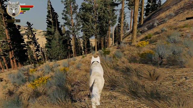 Let's Play: Wolf Quest - Anniversary Edition - First Run смотреть онлайн