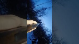 ПОСТАВИЛ ЛАЙЗЕРНЫЙ ПРИЦЕЛ. НА ИЖ-18Е. 32 КАЛИБРА. КРАСНУЮ ТОЧКУ ВИДНО ЗА КИЛОМЕТР ПОДПИСЫВАЮСЬ.