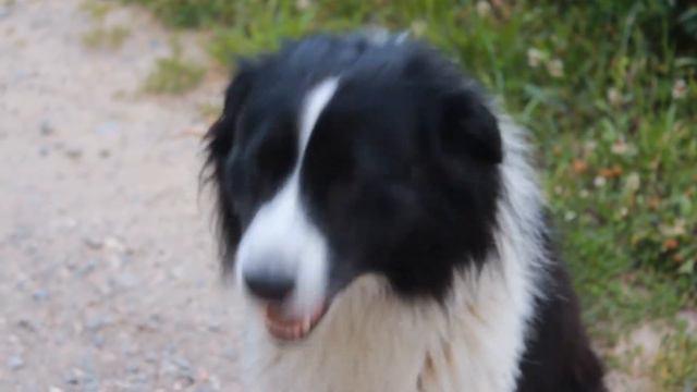 ЦЕНТР ЗДОРОВЬЯ МЫ СЕМЬЯ. ОТЗЫВЫ. ЗДЕСЬ Я ПОНЯЛА, КАК СДЕЛАТЬ ТАК, ЧТОБЫ ИММУНИТЕТ СПРАВЛЯЛСЯ... смотреть онлайн