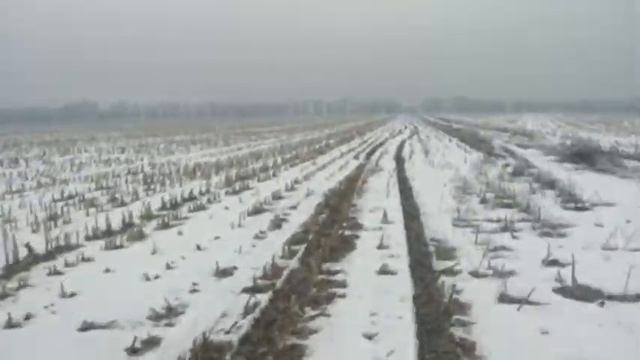 золотари,гомновозы,фирма круг смотреть онлайн