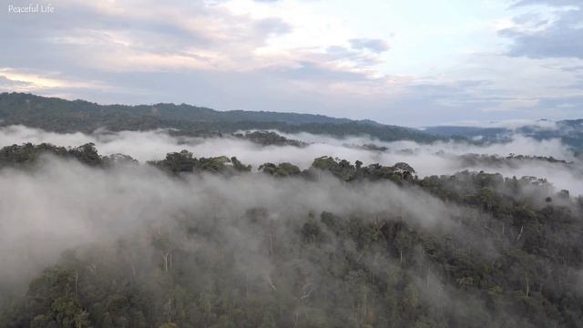 Музыка лечит сердце и сосуды? Успокаивающая музыка восстанавливает нервную систему,расслабляющая #5 смотреть онлайн