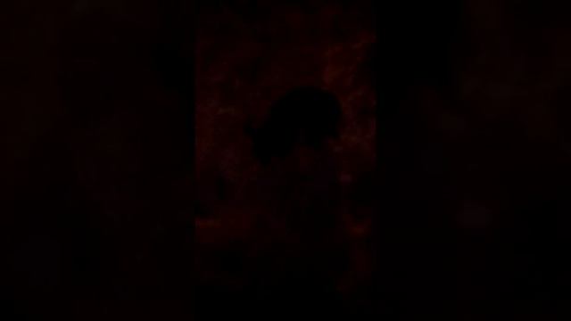 Гуляю с собакой смотреть онлайн