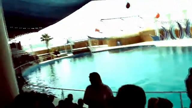 Sealanya Dolphin Park Sea Park Entrance Ticket Prices Dolphinarium lll➤ Alanya Turkey Attractions смотреть онлайн