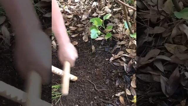 Как быстро накопать червя/Как приманить червя/Совет рыбакам #лайфхак #советдня смотреть онлайн