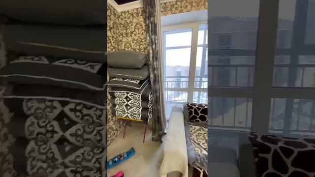 2 комнаты Алихан Бокейхан д.30 смотреть онлайн