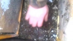 "Работа над ошибками" на пасеке Никуткина