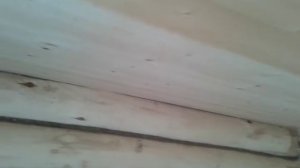 Укладка потолков в бане. Монтаж потолка в бане из бревна №27