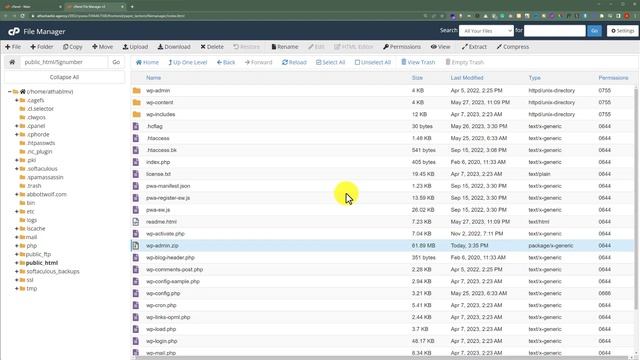 How To Backup Wordpress Website From Cpanel [Easily] смотреть онлайн