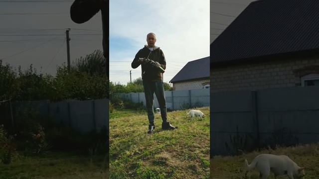 КАК СНЯТЬ НОВЫЙ БАЛОН ПЕНЫ С ЗАБИТОГО ПИСТОЛЕТА смотреть онлайн