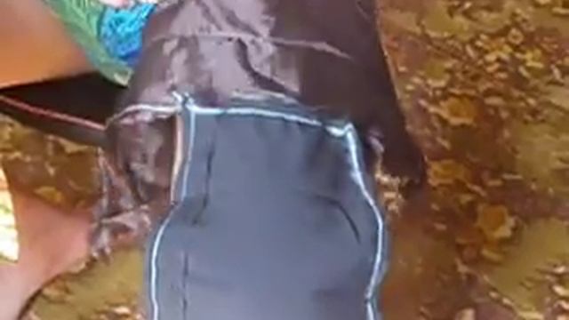 Отпугиватель птиц на подсолнухе