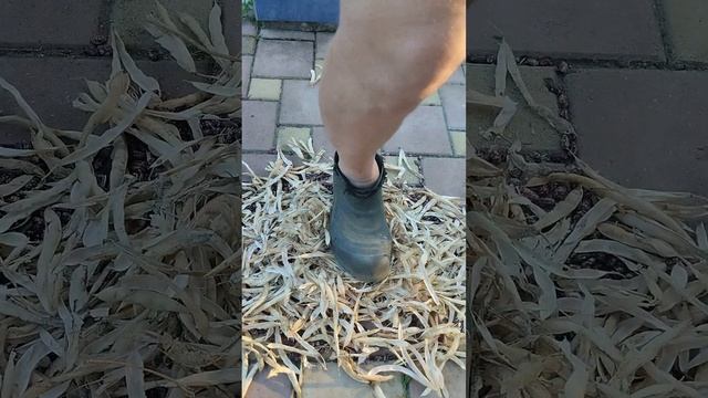 Вкусные рецепты