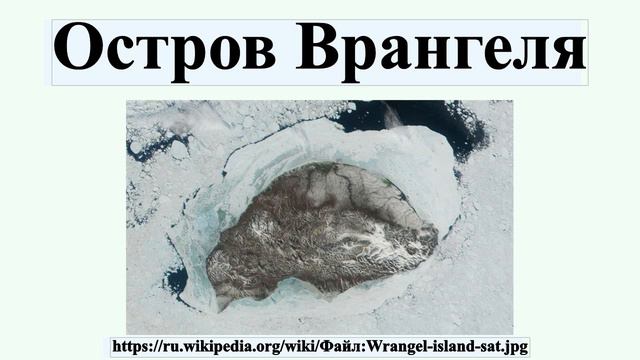 Остров Врангеля смотреть онлайн