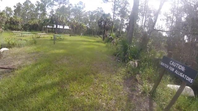 Escape the Swamp - Running Through Florida's Trails смотреть онлайн
