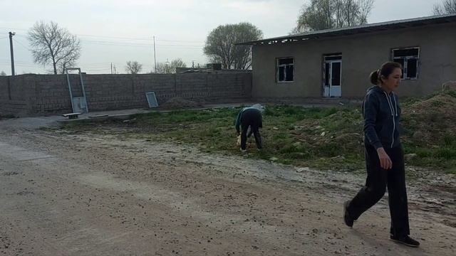 Ташкент. Балу пристроен. Бездомыши сыты. Деревья посажены. смотреть онлайн