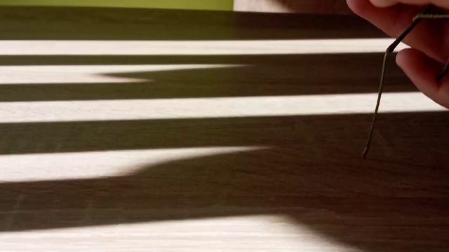 Дыбка степная тигр среди кузнечиков, гигантский хищник, Никита Нюняев (11 лет), Южный, Одесса 2021 смотреть онлайн