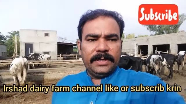 YouTube SEO|video SEO| Dairy Farmar es Mosam m kin Bato ka khial Rkhna How Rank|1in YouTube(fast) смотреть онлайн
