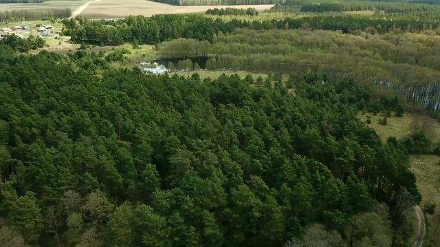 р.Неман близ д.Новоселки. Мостовской р-н. Гродненская обл. смотреть онлайн
