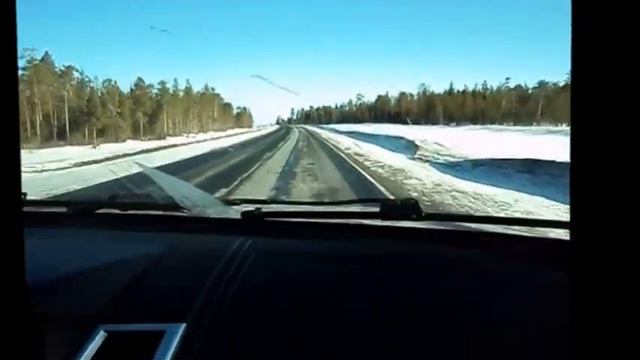 В Мурманск за треской! смотреть онлайн