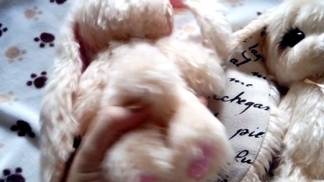 Распаковка мимимишной посылки смотреть онлайн