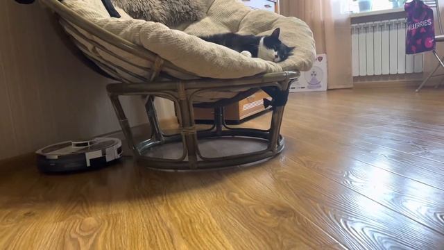Робот-пылесос Polaris PVCR 3900 IQ Home Panorama Aqua. смотреть онлайн