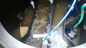 Итал антей 5