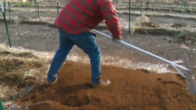 KTVB Serious Feature OREGON POT FARM смотреть онлайн