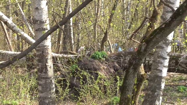 2018 05 01 15 29 17 00014 Panasonic HC V550 50 mb смотреть онлайн