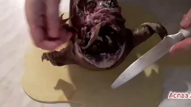 Қойдың басын мұқият тазалаймыз қыз~келіншектер. Керемет. смотреть онлайн