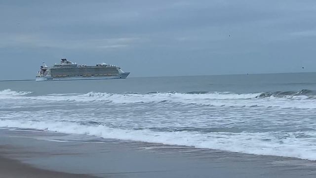 ? этот КРАСАВЕЦ ждёт меня ? скоро в КРУИЗ ПОРТ КАНАВЕРАЛ ФЛОРИДА США 19.01. 2020 смотреть онлайн