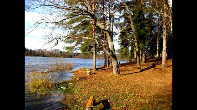 Без названия.tube.mp4 Не смотрите, это тест смотреть онлайн