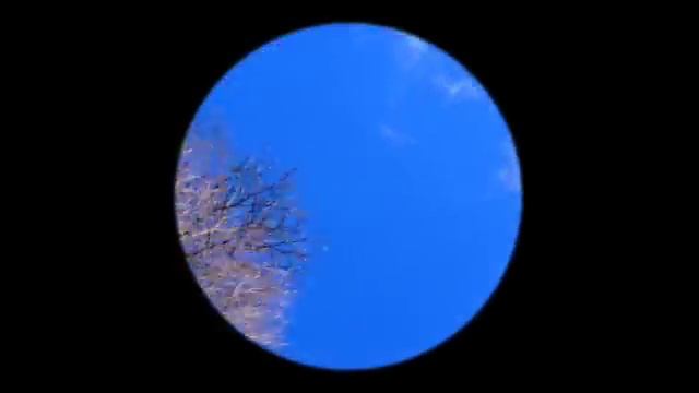 Ian McCulloch-Blue Skies Up Ahead смотреть онлайн