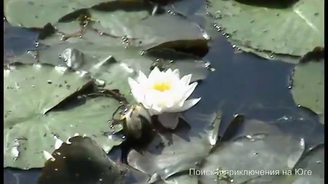 Экскурсия по Анапе на велосипеде! смотреть онлайн