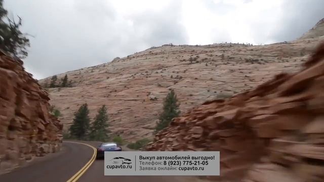 Выкуп автомобилей - cupavto.ru смотреть онлайн