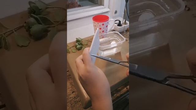 А ТЫ ЗНАЛ ЭТОТ ЛАЙФХАК? #shorts смотреть онлайн