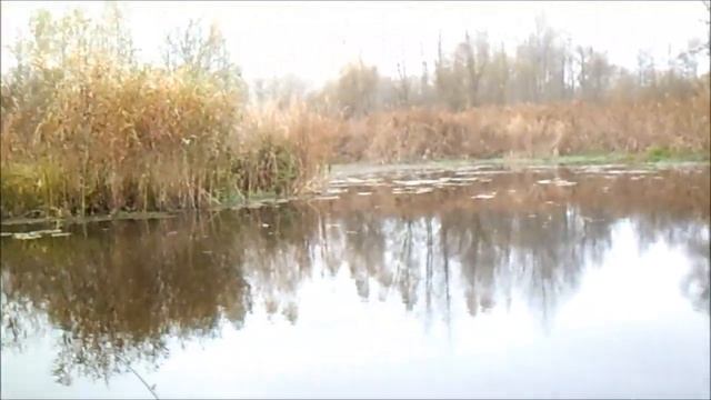 Рыбалка троллингом на реке Припять и её старицах.Березцы. смотреть онлайн
