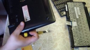 Разбираем Нетбук ASUS Eee PC 1015.Меняем HDD. Ставим SSD.Повышаем производительность.