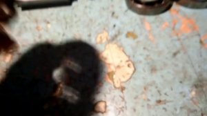 Генератор "Карпаты" 12 вольт. из 6-ти, 3701