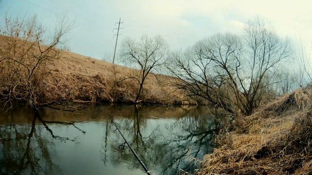 Береговые рыбалки. ТЕОРИЯ. смотреть онлайн