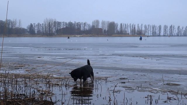 SONY DSC-HX50 - video test (MTS) смотреть онлайн