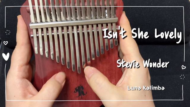 누구나 한명쯤은 있는 사랑스런 그녀 Isn't She Lovely - Stevie Wonder | kalimba cover смотреть онлайн