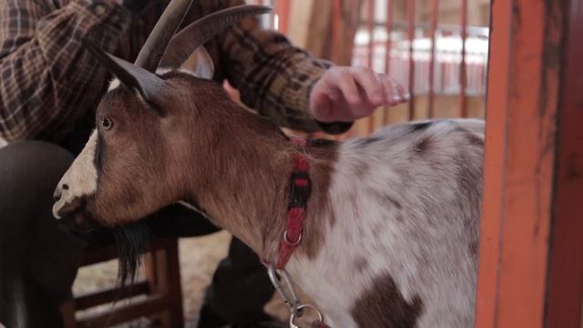 Паводок _ Cоциальная реклама МЧС России смотреть онлайн