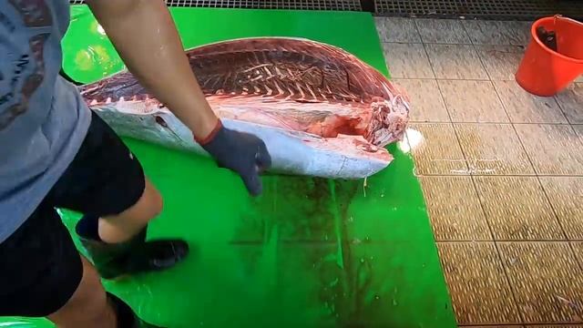 Японцы шустро разделали 300 килограммовую рыбу. смотреть онлайн